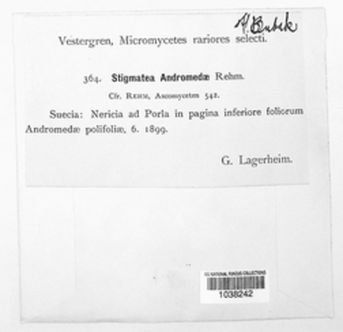 Eudimeriolum andromedae image